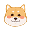 qiyuan的头像